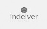logo indelver