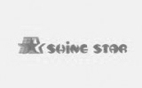 logo shine star
